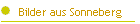Bilder aus Sonneberg