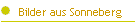 Bilder aus Sonneberg