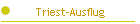 Triest-Ausflug