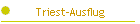 Triest-Ausflug
